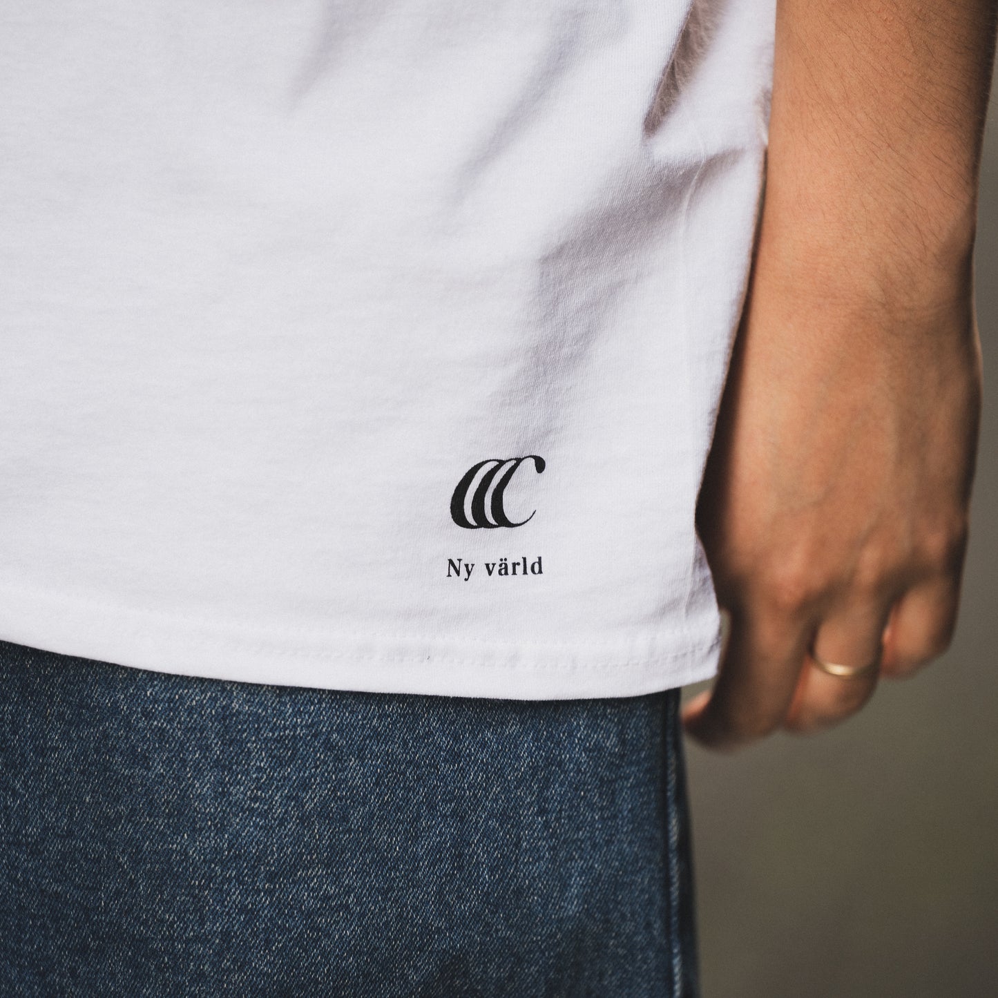 CLUMSY PICTURES FRUIT OF THE ROOM S/S TEE - BLACK
