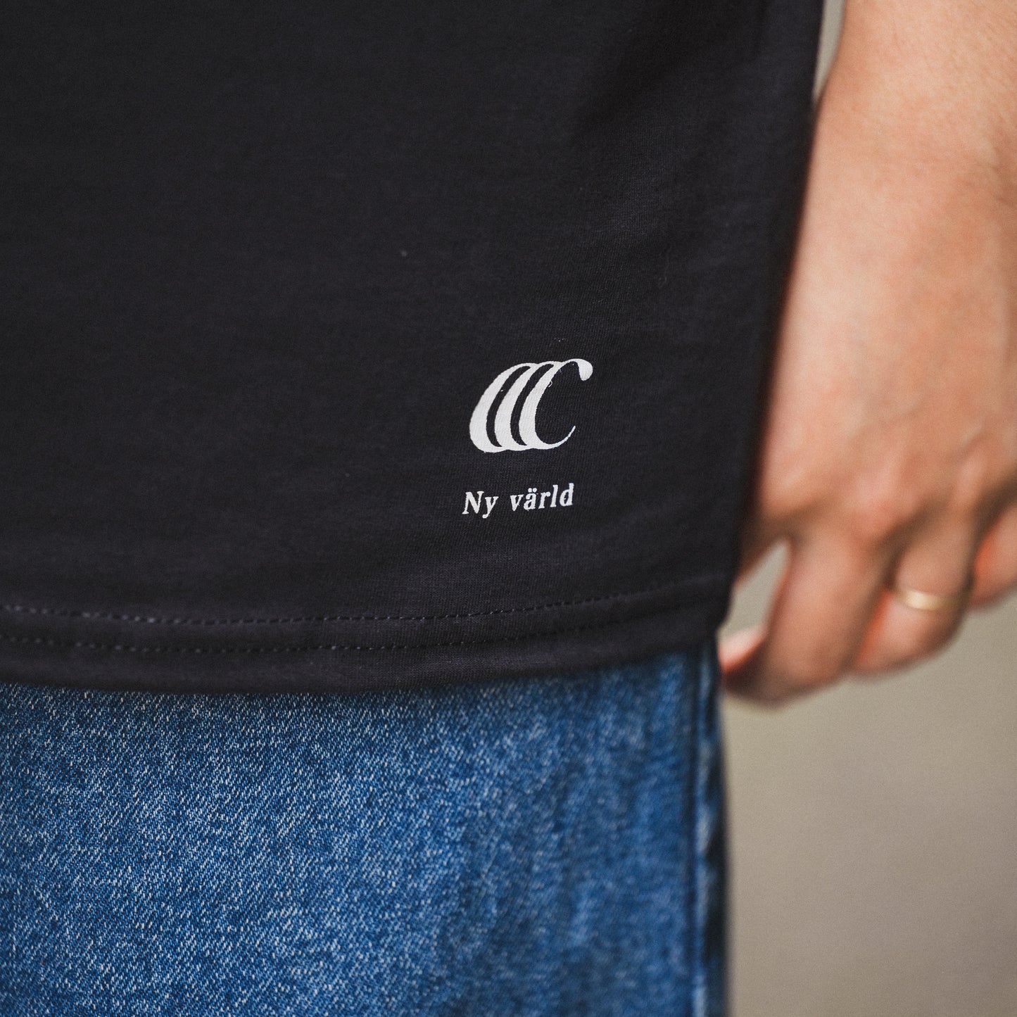 CLUMSY PICTURES FRUIT OF THE ROOM S/S TEE - NAVY