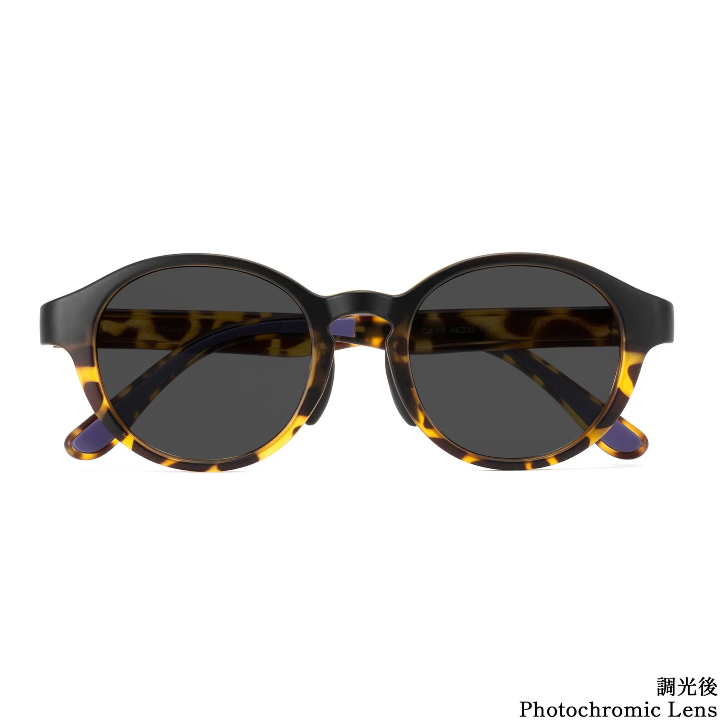 TYMER EYEWEAR PABLO TORTOISE2 / PHOTOCHROMIC GRAY (TY103-MT2-PGY)