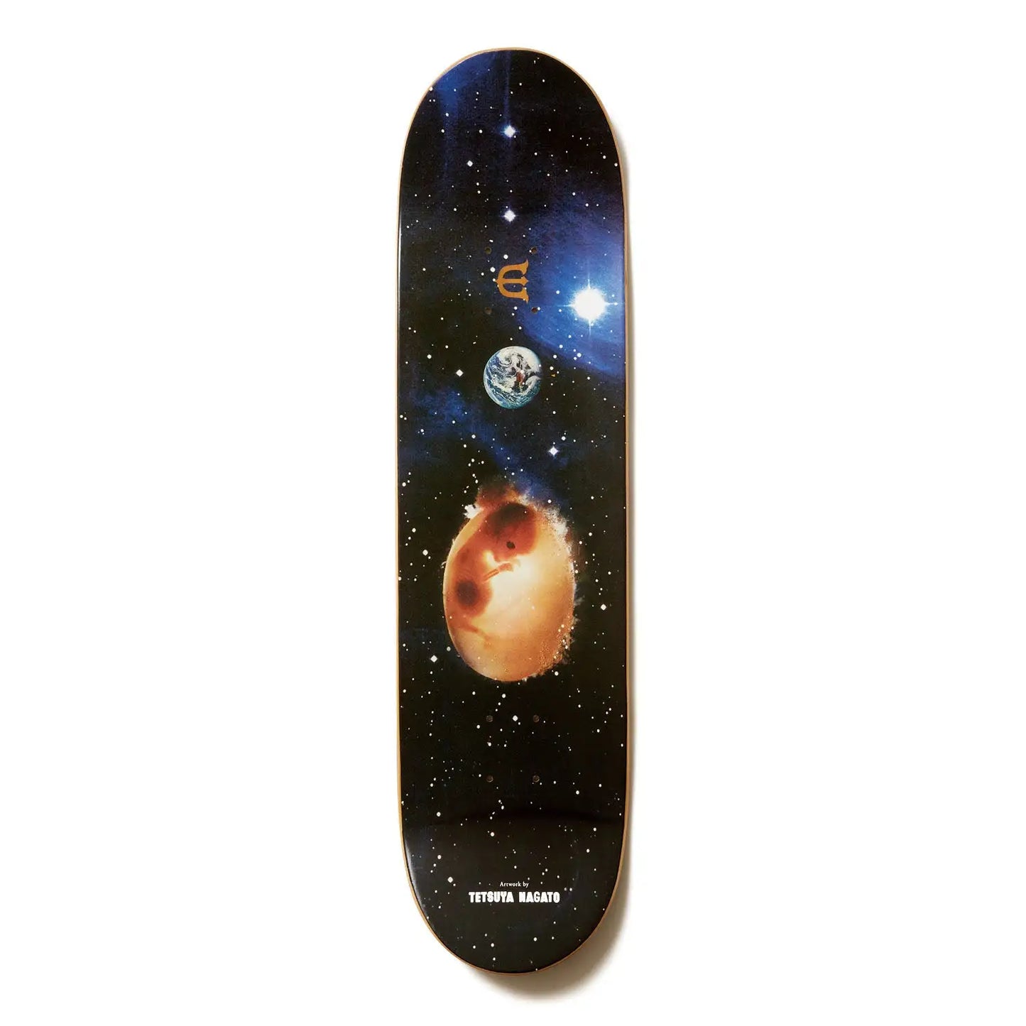 EVISEN TEAM STARSEED BLUES - 8.38