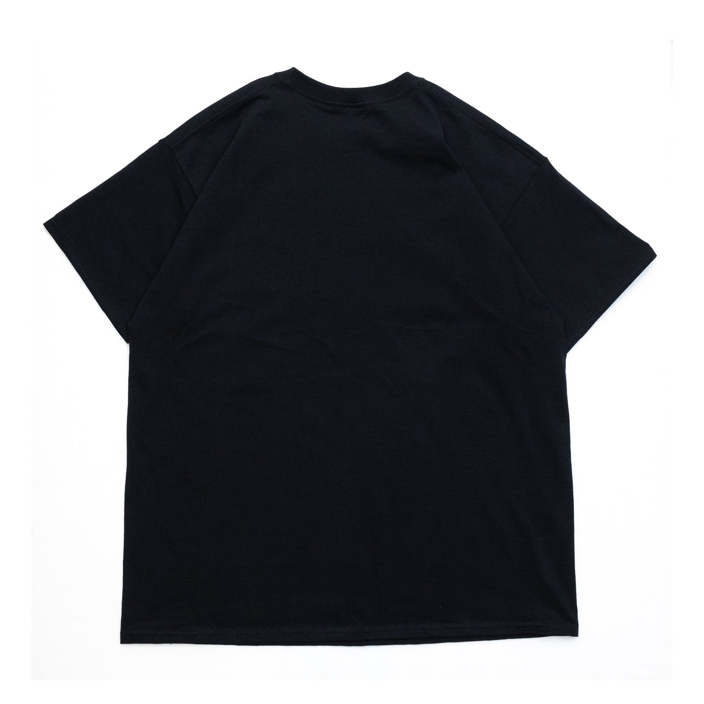 CLUMSY PICTURES FRUIT OF THE ROOM S/S TEE - BLACK
