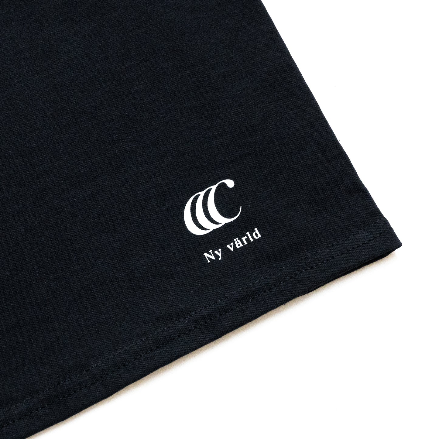 CLUMSY PICTURES FRUIT OF THE ROOM 2 PACK S/S TEE - BLACK