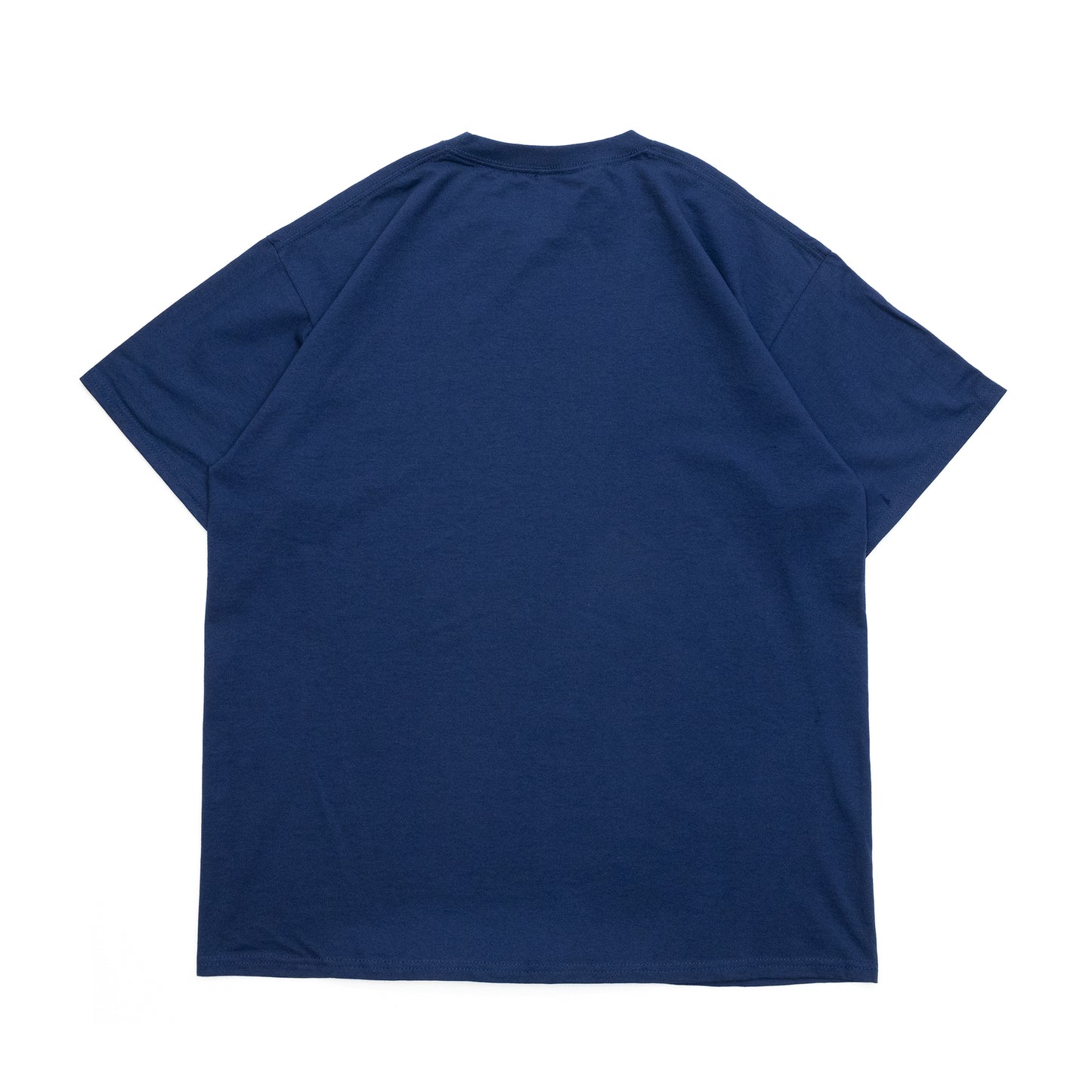 CLUMSY PICTURES FRUIT OF THE ROOM 2 PACK S/S TEE - NAVY