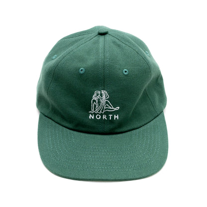 NORTH SKATE MAG ZODIAC CAP - GREEN