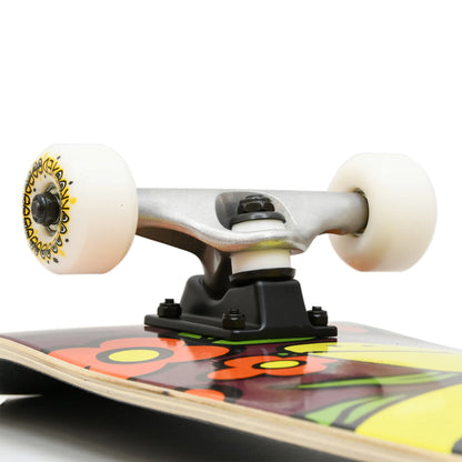 KROOKED / KIDS COMPLETE "SCHMOO" - 7.3