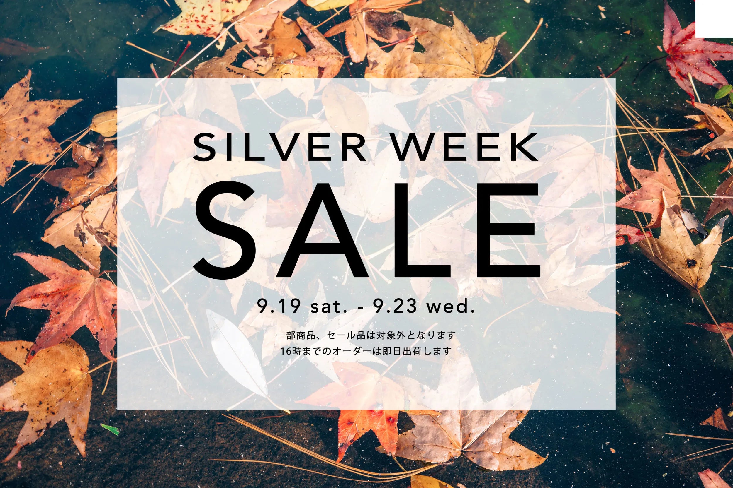 SILVER WEEK SALE 2026